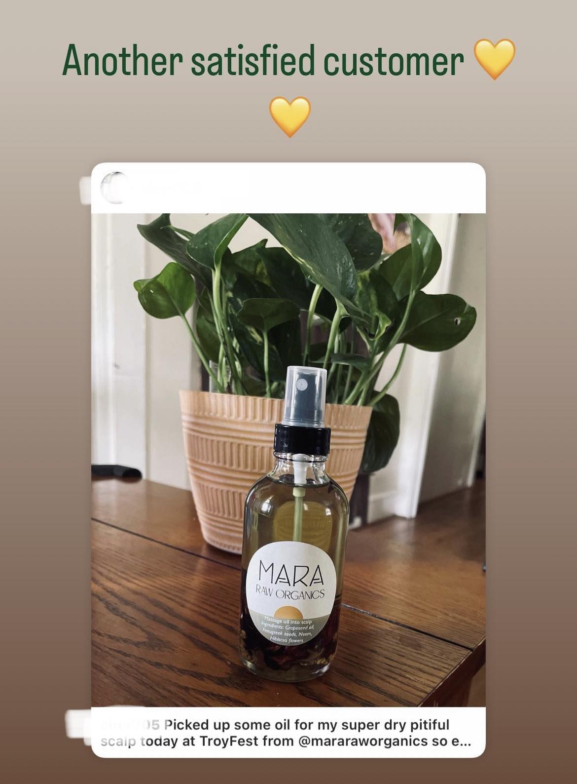 Ginger and Clove Hair Growth Oil (4oz)